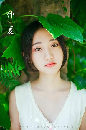 免费高清电视剧网站，1080P中文字幕你知道几个？